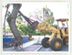 Tree Removal