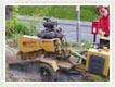 3. Stump Grinding