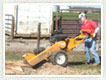 4.Stump Grinding